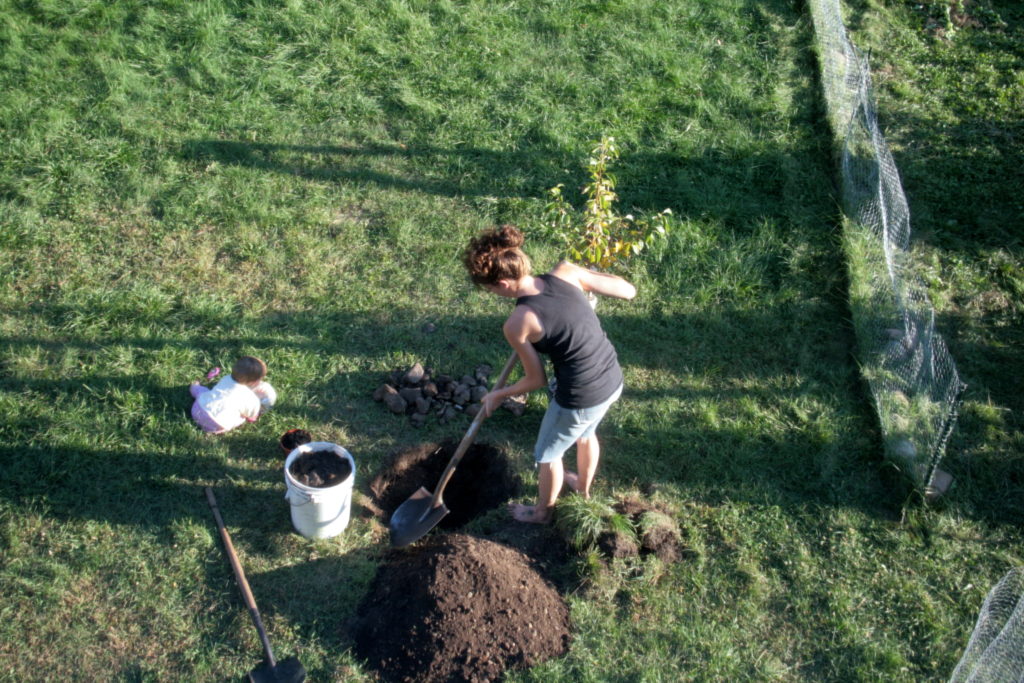20110827_6073